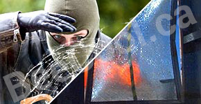 Burglar looking in broken window and shattered glass held together with Bee Safe blast film.